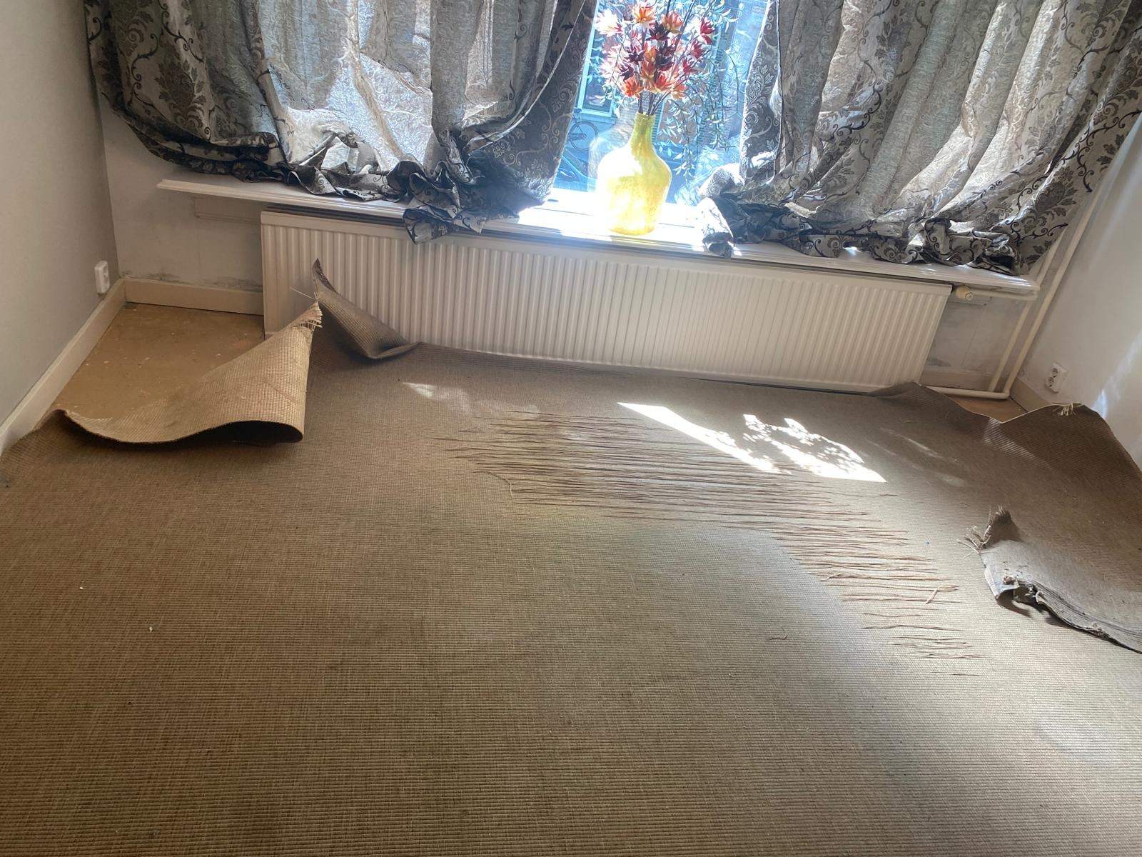 Bedroom before, with the old carpet pulled back